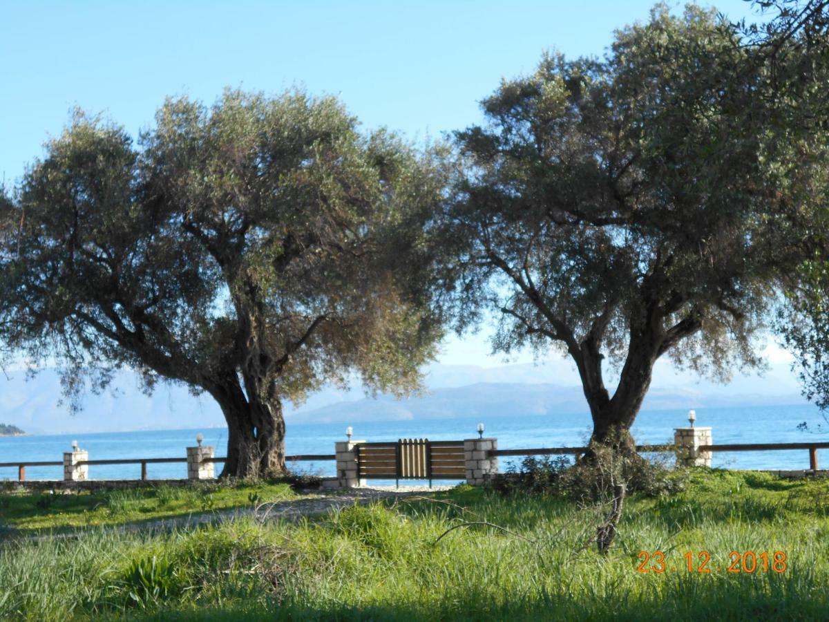Lukia Barbati Mare Villa Luaran gambar